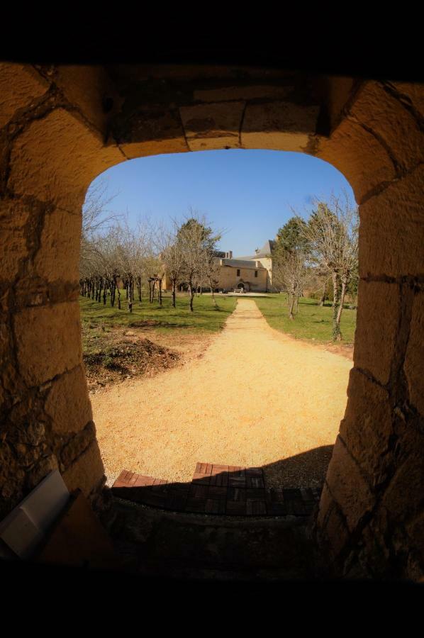 Chateau De Sauveboeuf Aubas Exteriör bild