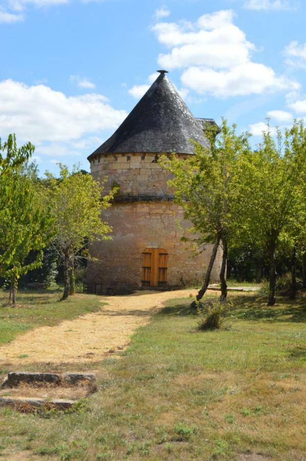 Chateau De Sauveboeuf Aubas Exteriör bild